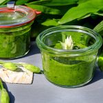 Ramsløgpesto